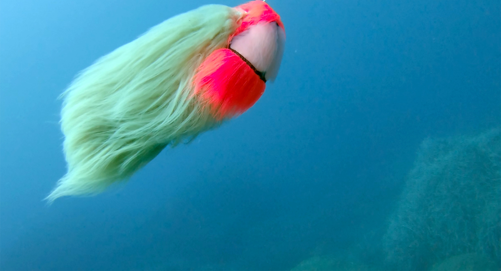 Furrious: Underwater 2018/ Video still: Territorium KV 2018